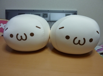 2011011601.jpg