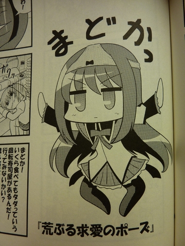2011062020.jpg