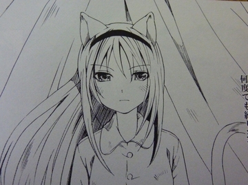 2011071108.jpg