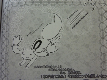 2011071117.jpg