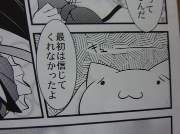 2011071311.jpg