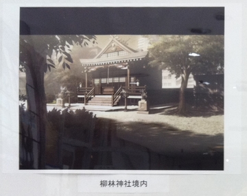 2011090615.jpg