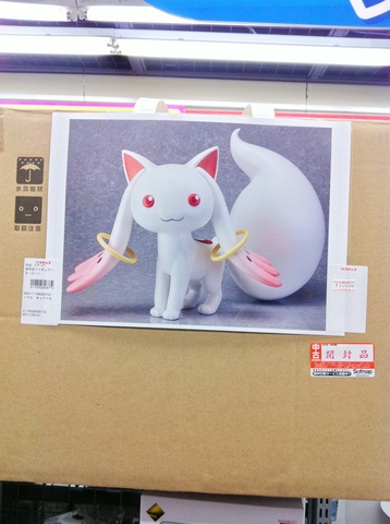 2011111517.jpg