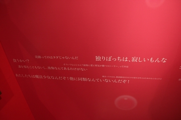 20111227121.jpg