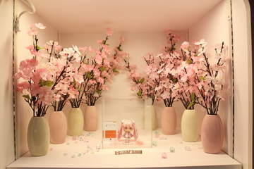 20120407_28.JPG
