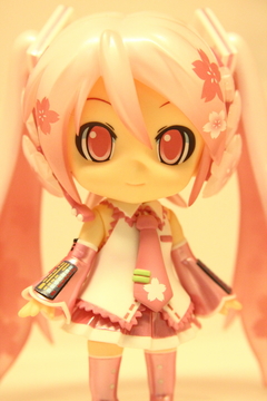 20120407_41.JPG