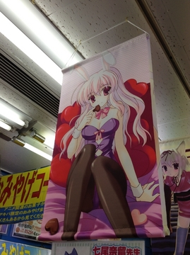 2012052417.jpg