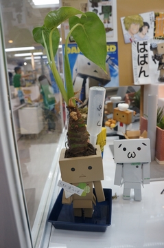 20120708_37.jpg