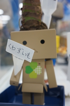 20120708_38.jpg